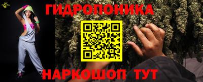 молекула духа Ставрополь