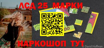 молекула духа Ставрополь