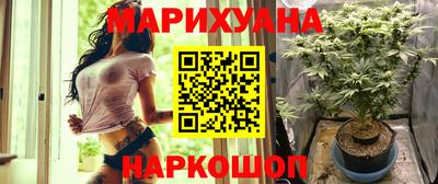 молекула духа Ставрополь
