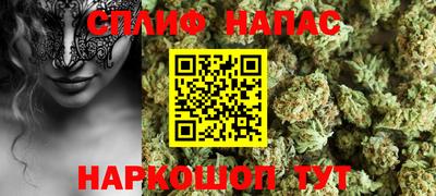 молекула духа Ставрополь