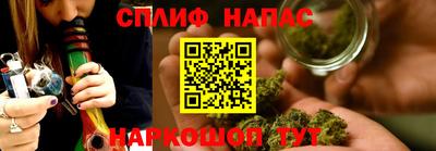 молекула духа Ставрополь