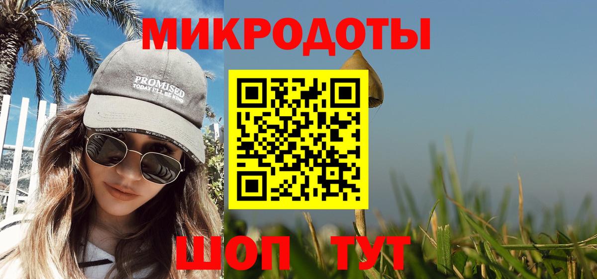 Псилоцибиновые грибы Cubensis Мурманск