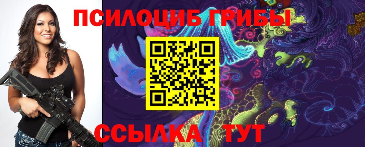 Мурманск  Псилоцибиновые грибы GOLDEN TEACHER  Вход с VPN 